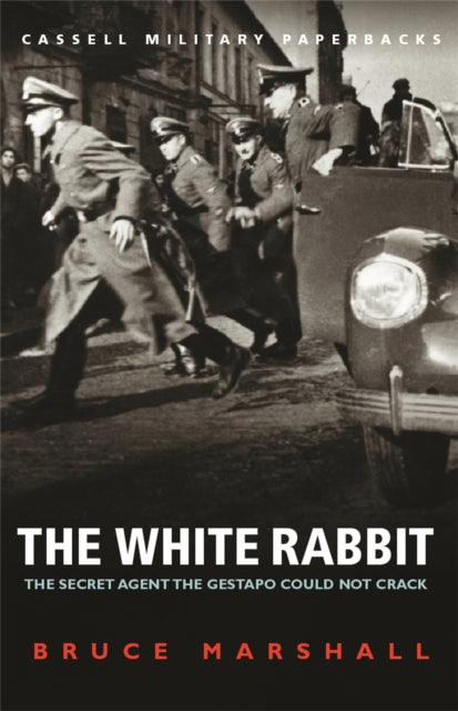 The White Rabbit-9780304356973