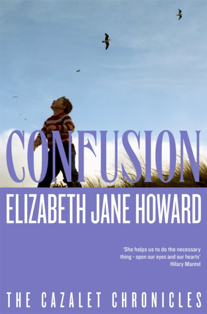 Confusion-9781035042463
