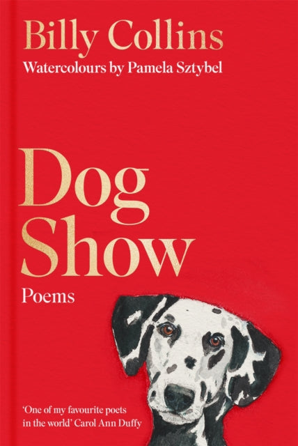 Dog Show-9781035087471