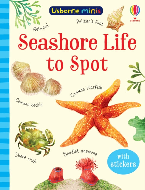 Seashore Life to Spot-9781474974981