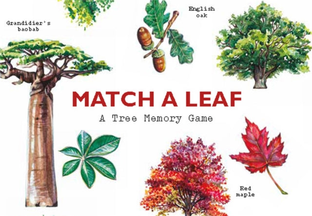 Match a Leaf : A Tree Memory Game-9781786272270