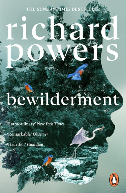 Bewilderment-9781804951668
