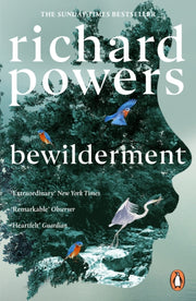 Bewilderment-9781804951668