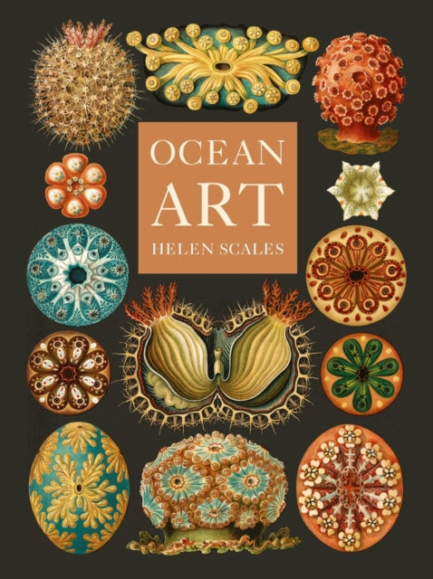 Ocean Art : From the Shore to the Deep-9781836390985