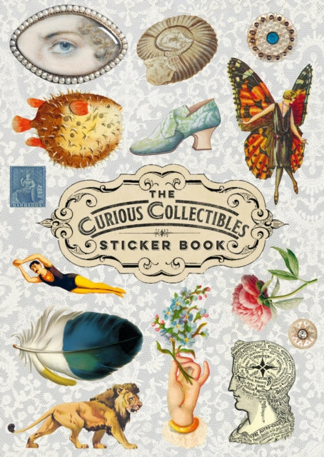 The Curious Collections Sticker Book-9781837760916