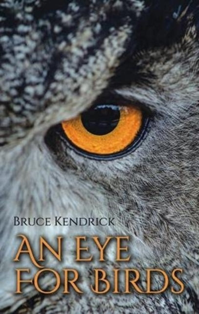 An Eye for Birds-9781849954952