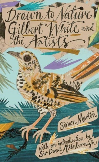 Drawn to Nature : Gilbert White and the Artists-9781869827755